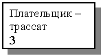 Подпись: Плательщик – трассат
3