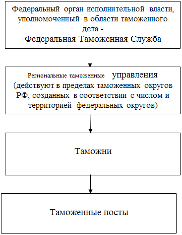 Курсовая работа: Система таможенного права