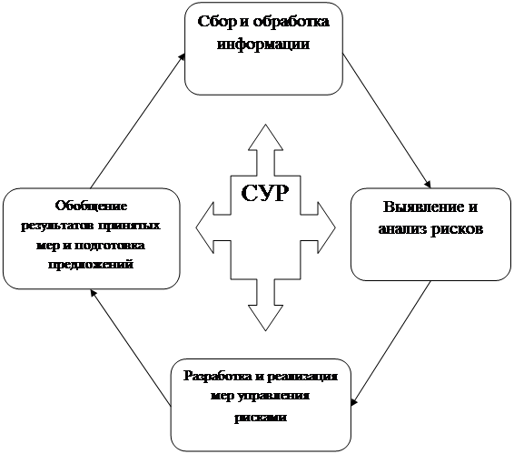 Курсовая работа: Применение системы управления рисками при проведении таможенного контроля